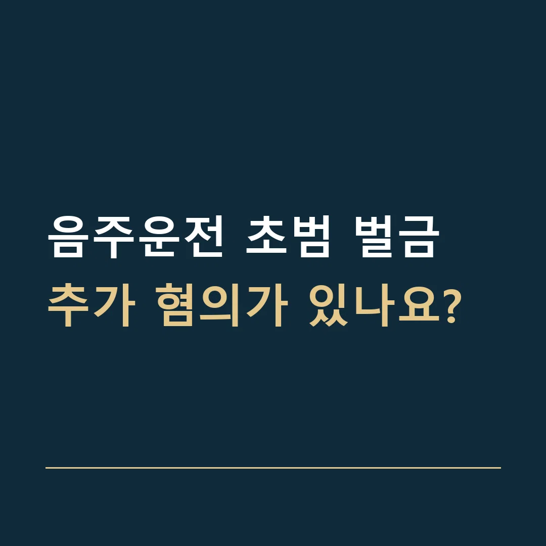 음주운전 초범 벌금 · 추가 혐의가 있나요?