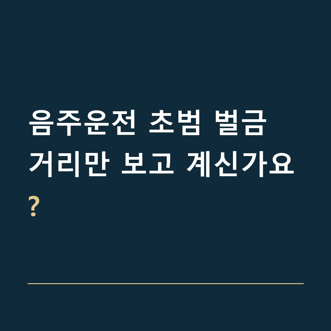 음주운전 초범 벌금 · 거리만 보고 계신가요?
