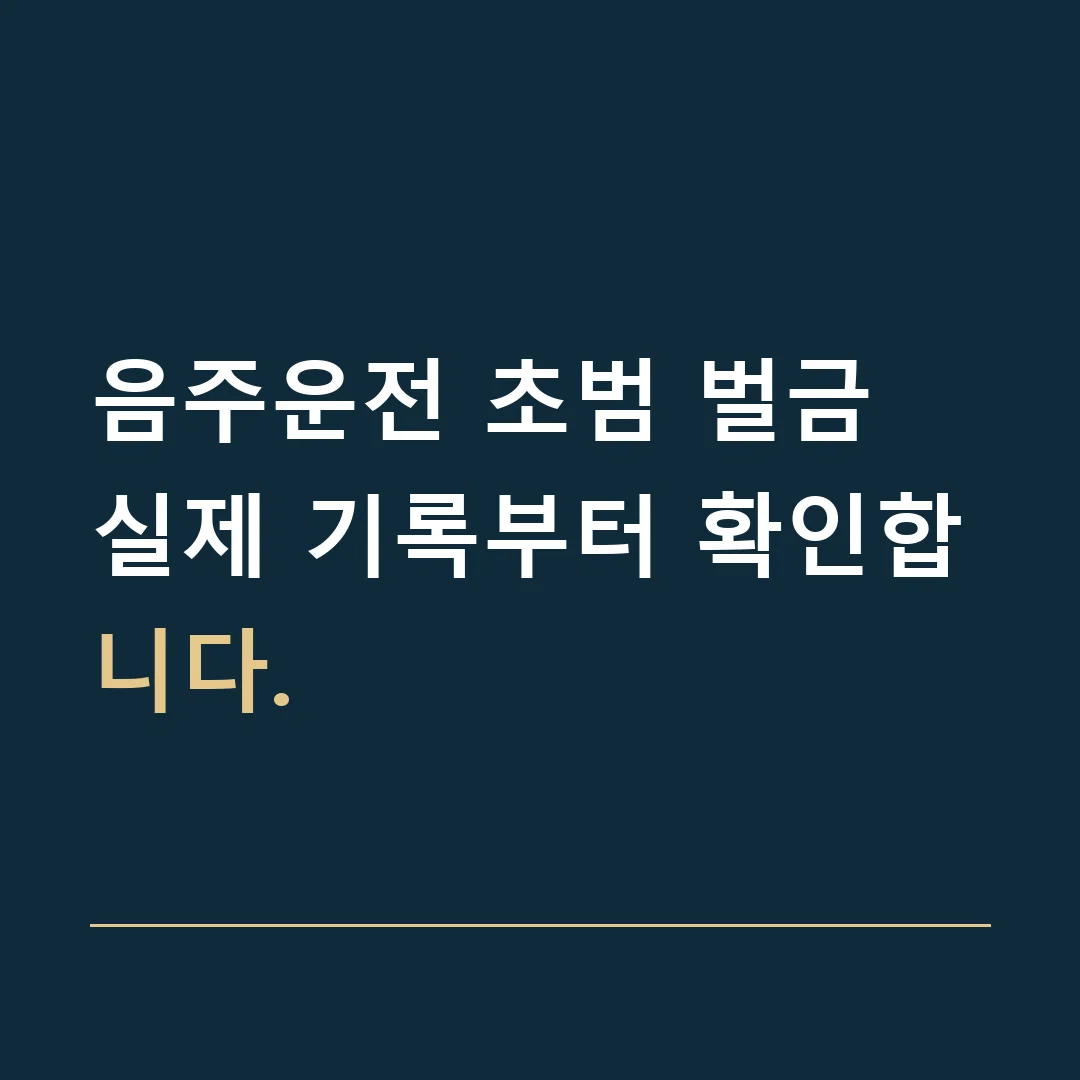 음주운전 초범 벌금 · 실제 기록부터 확인합니다.