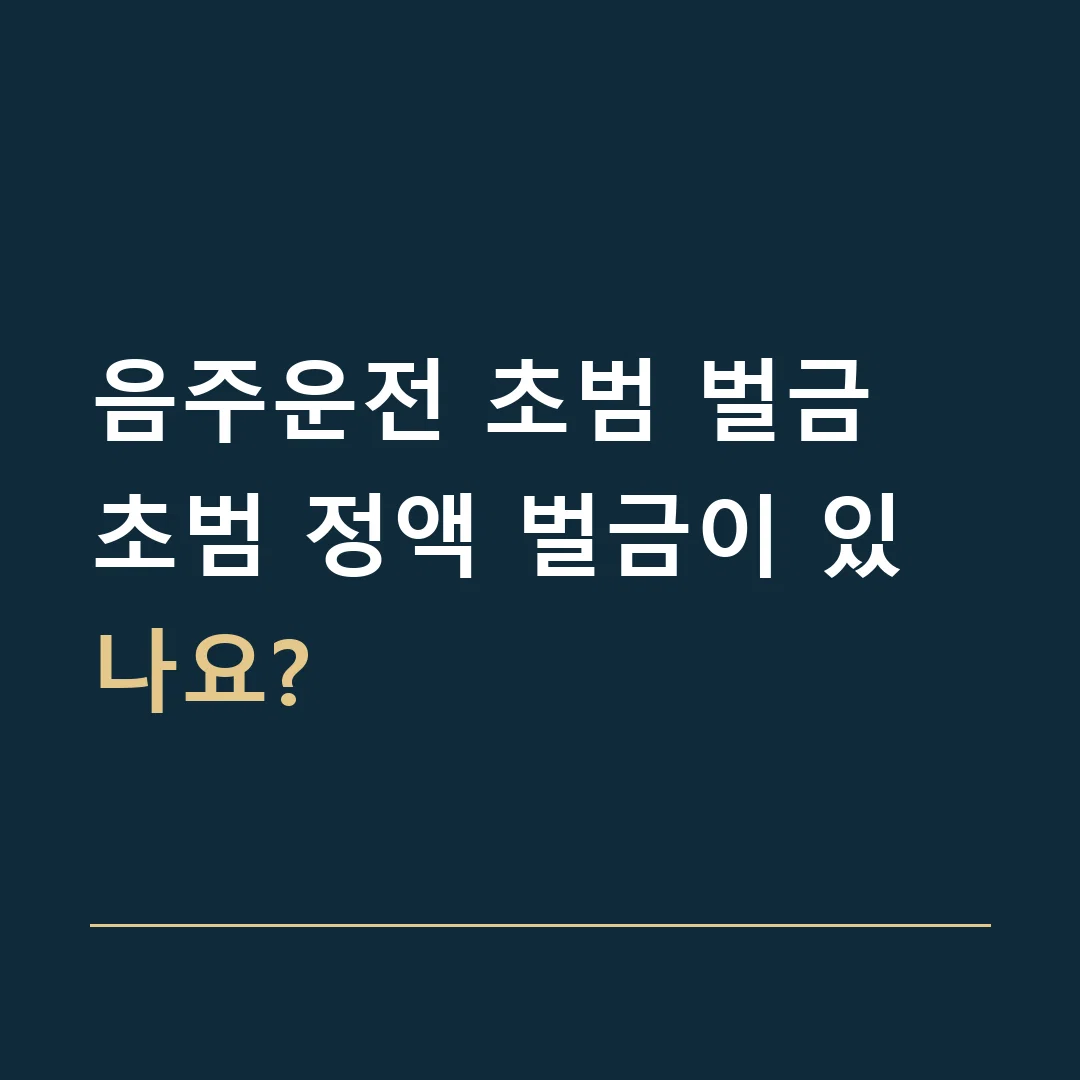 음주운전 초범 벌금 · 초범 정액 벌금이 있나요?