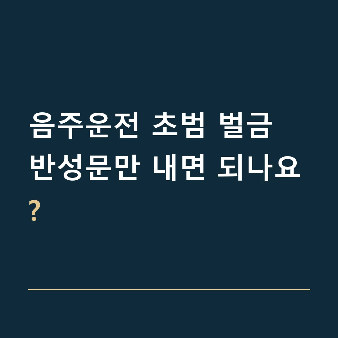 음주운전 초범 벌금 · 반성문만 내면 되나요?