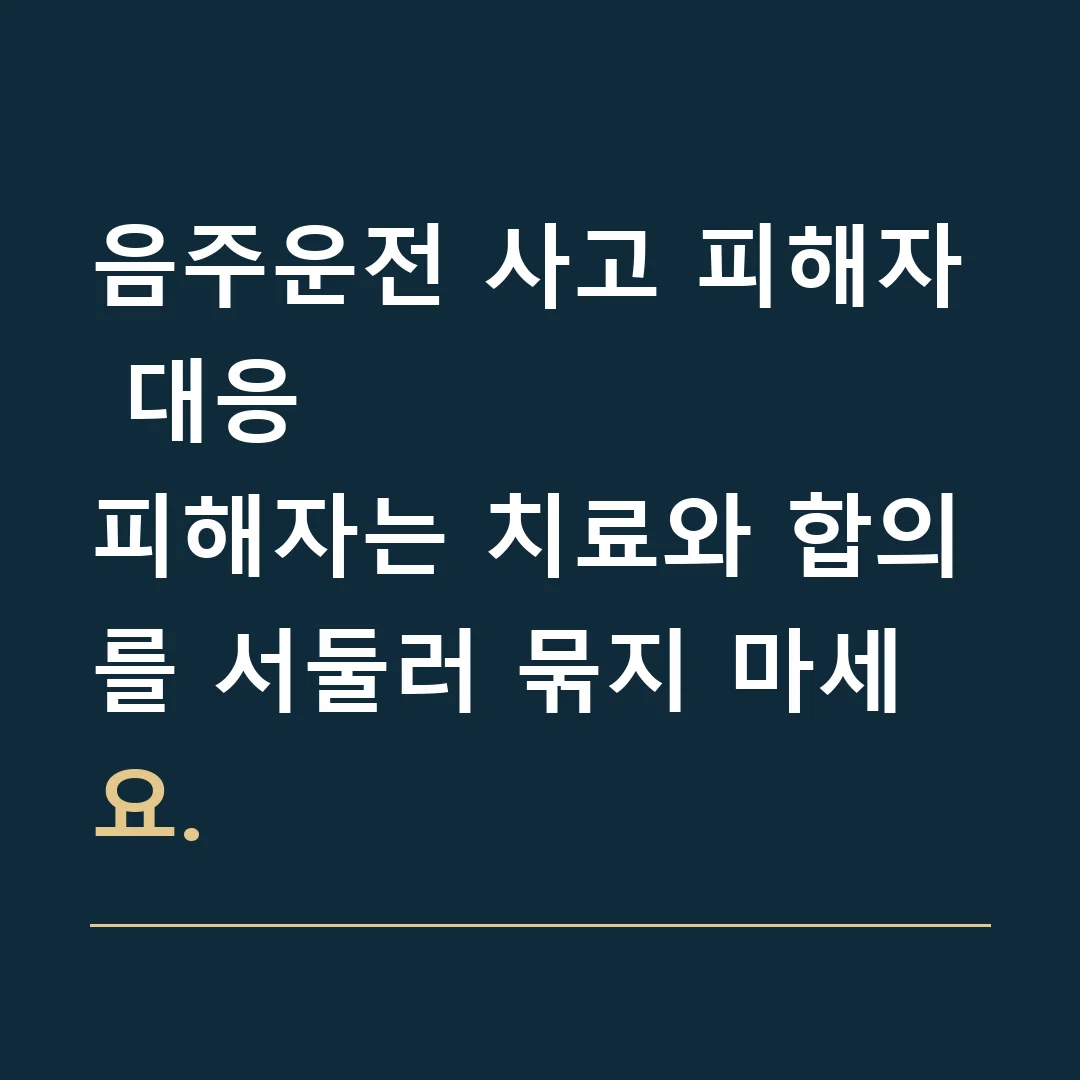 음주운전 사고 피해자 대응 · 피해자는 치료와 합의를 서둘러 묶지 마세요.