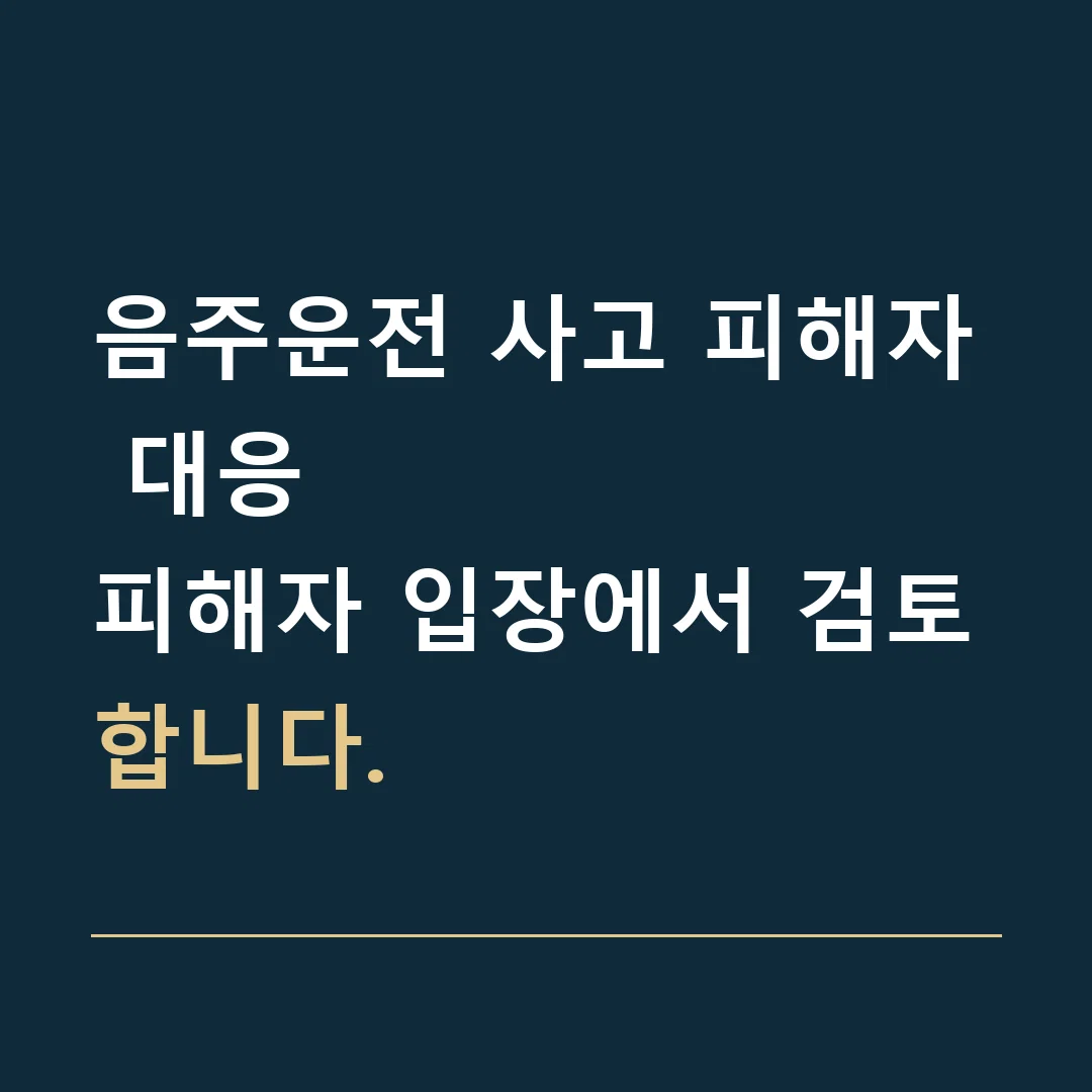음주운전 사고 피해자 대응 · 피해자 입장에서 검토합니다.