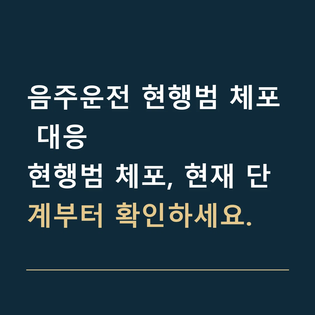 음주운전 현행범 체포 대응 · 현행범 체포, 현재 단계부터 확인하세요.