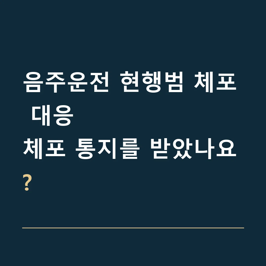 음주운전 현행범 체포 대응 · 체포 통지를 받았나요?