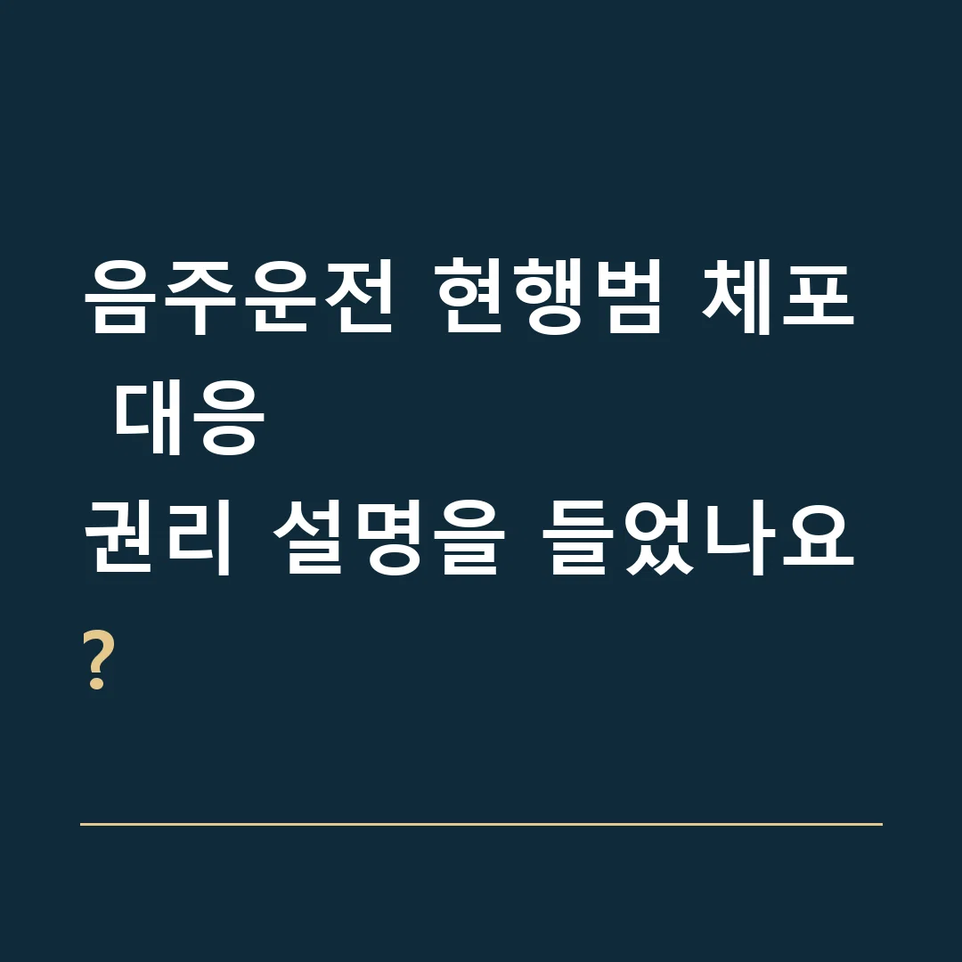 음주운전 현행범 체포 대응 · 권리 설명을 들었나요?