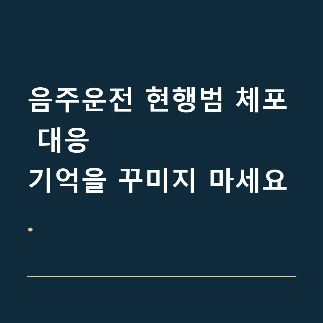 음주운전 현행범 체포 대응 · 기억을 꾸미지 마세요.
