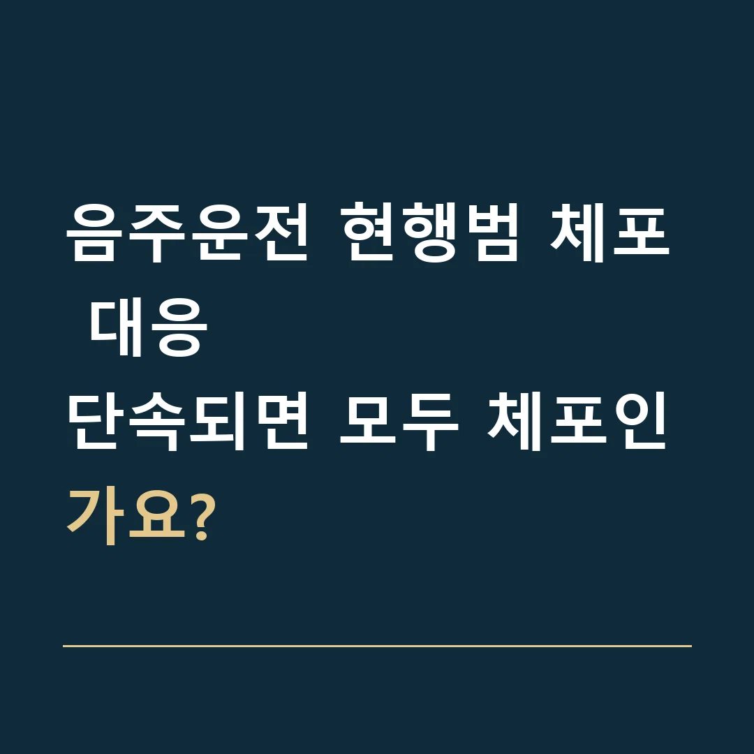 음주운전 현행범 체포 대응 · 단속되면 모두 체포인가요?