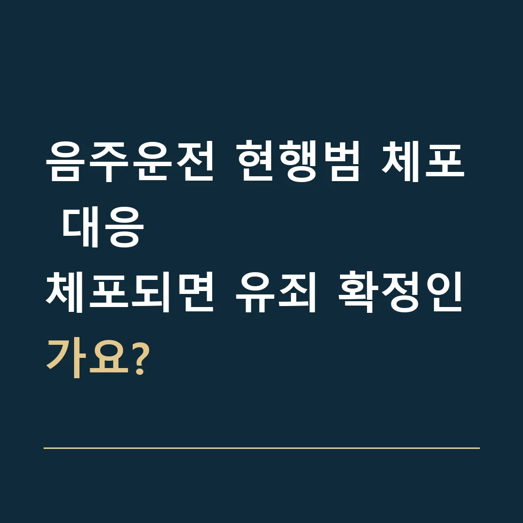 음주운전 현행범 체포 대응 · 체포되면 유죄 확정인가요?