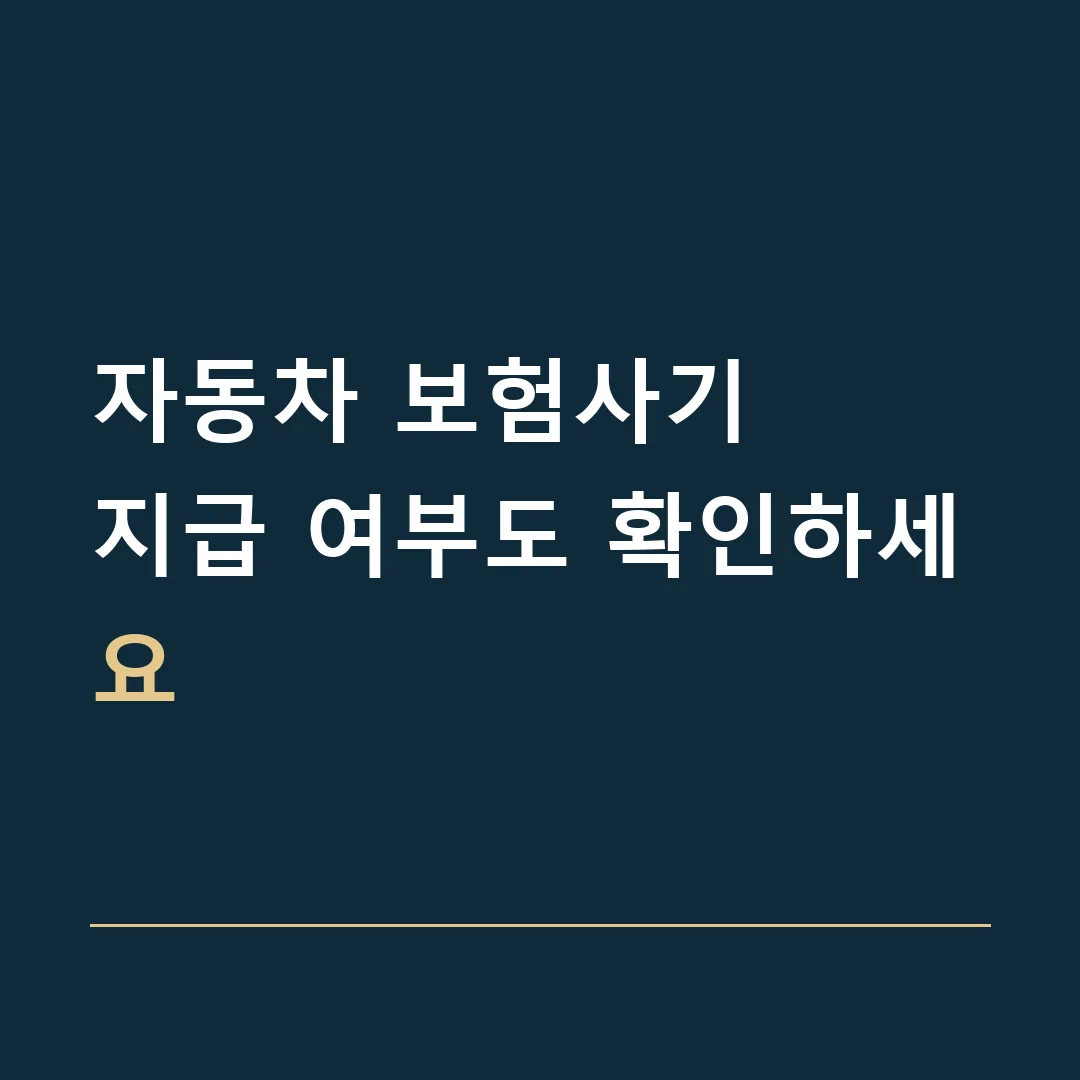 자동차 보험사기 · 지급 여부도 확인하세요