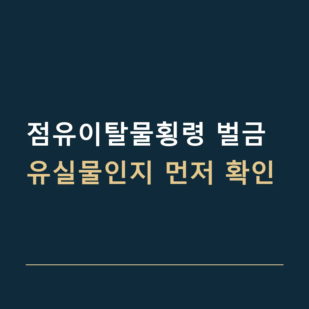 점유이탈물횡령 벌금 · 유실물인지 먼저 확인