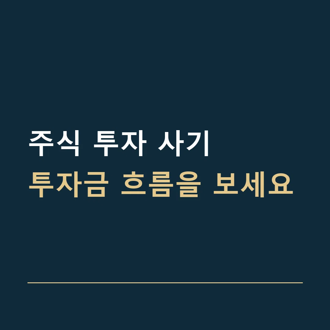 주식 투자 사기 · 투자금 흐름을 보세요