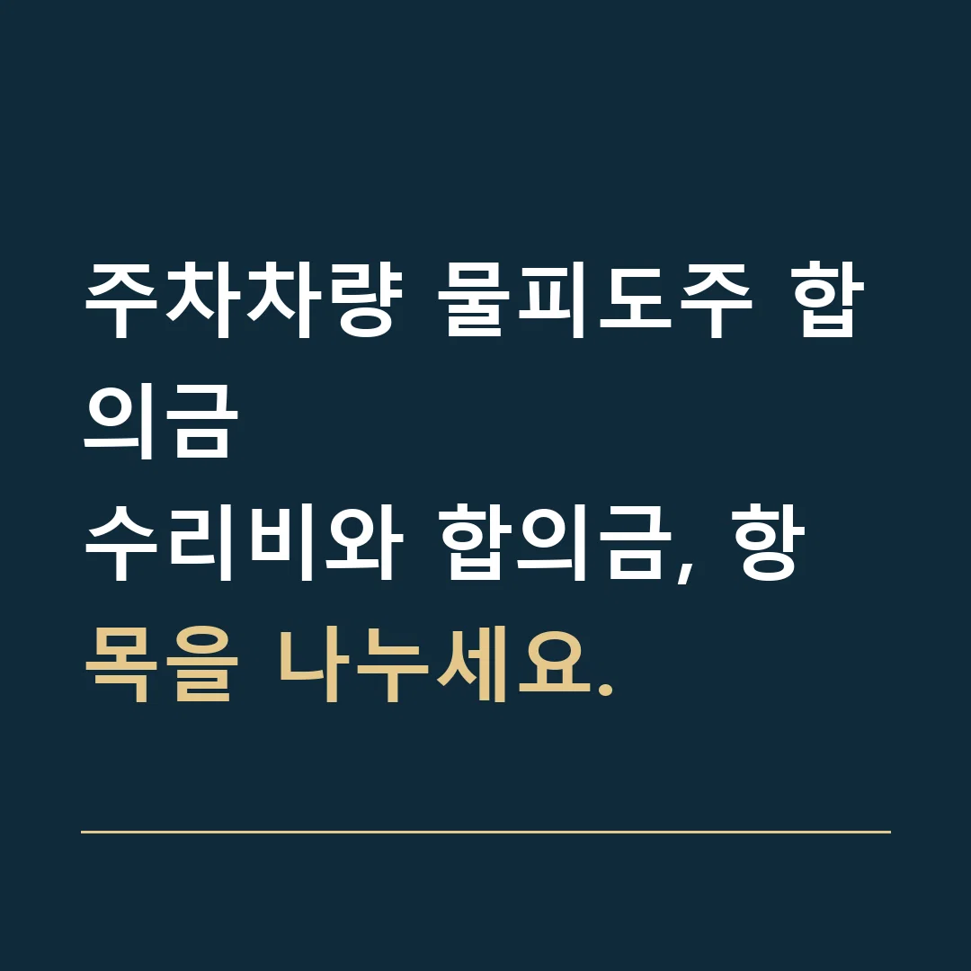 주차차량 물피도주 합의금 · 수리비와 합의금, 항목을 나누세요.