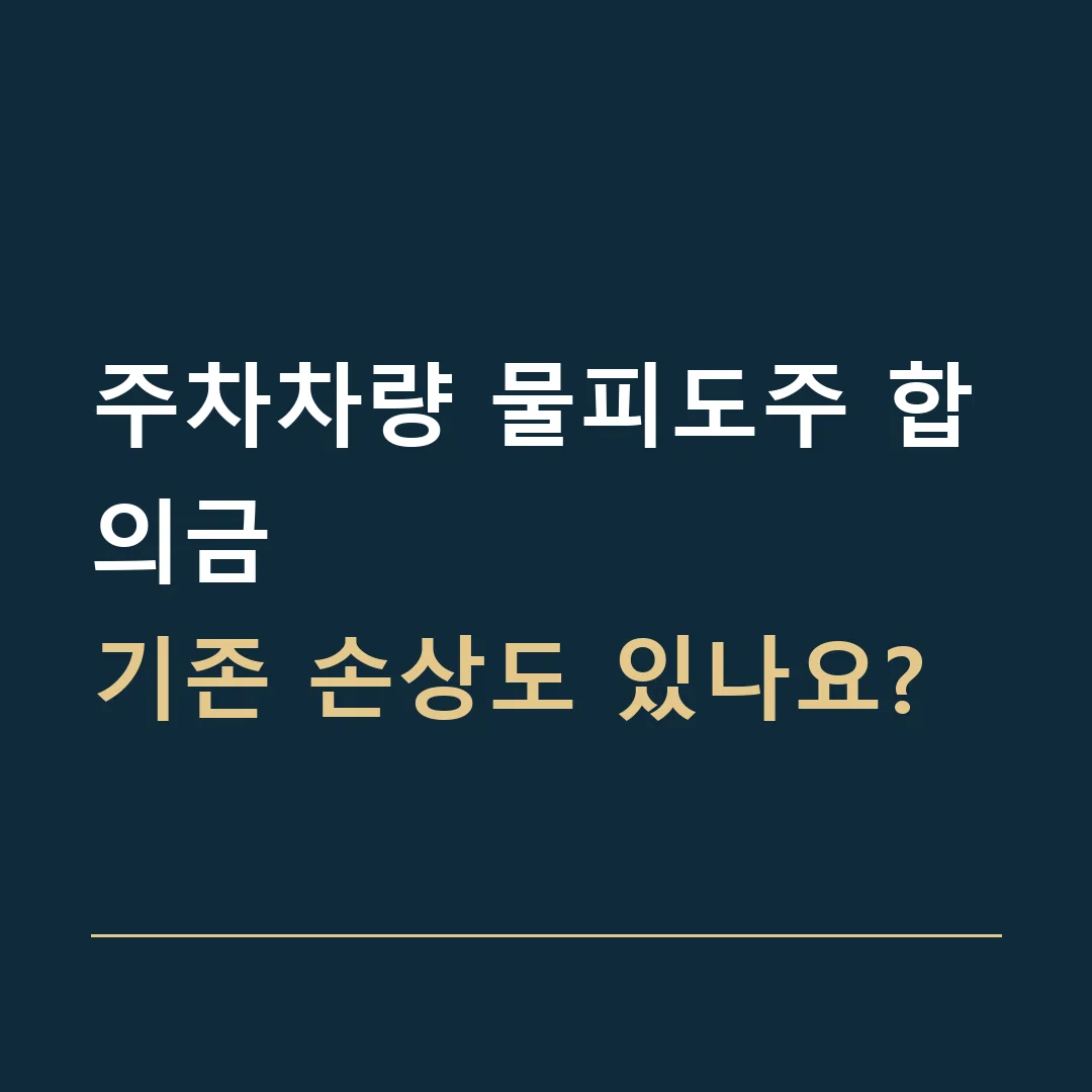 주차차량 물피도주 합의금 · 기존 손상도 있나요?