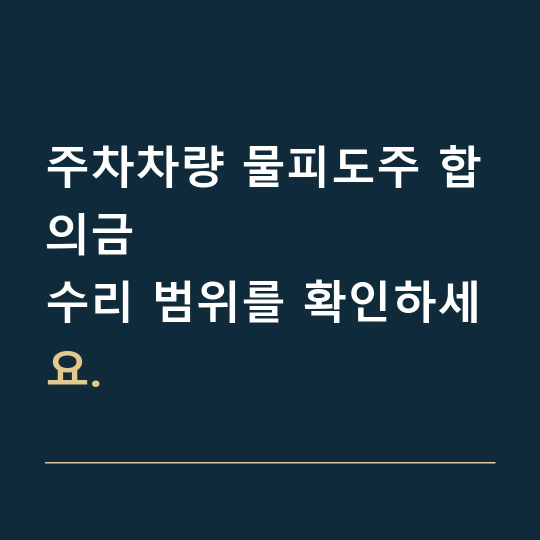 주차차량 물피도주 합의금 · 수리 범위를 확인하세요.