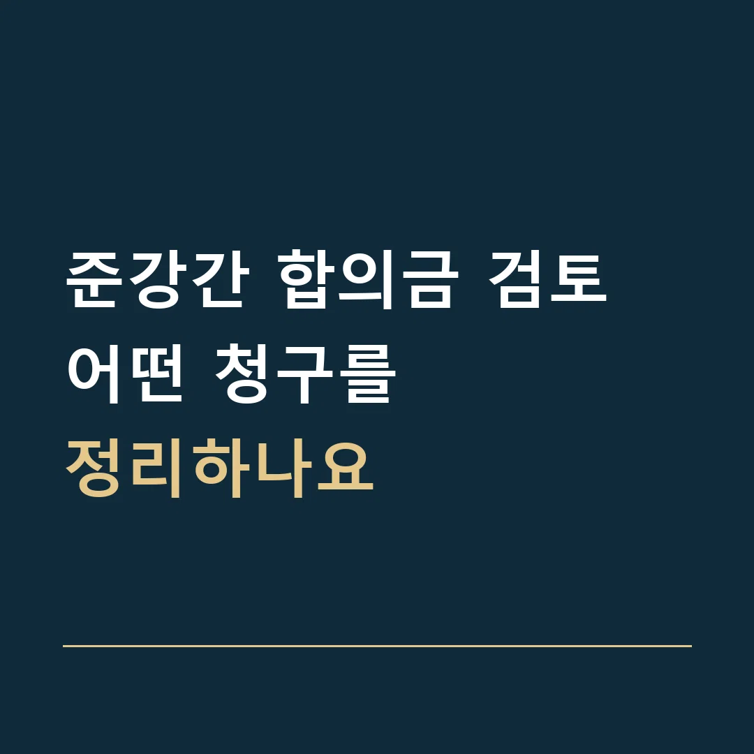 준강간 합의금 검토 · 어떤 청구를
정리하나요