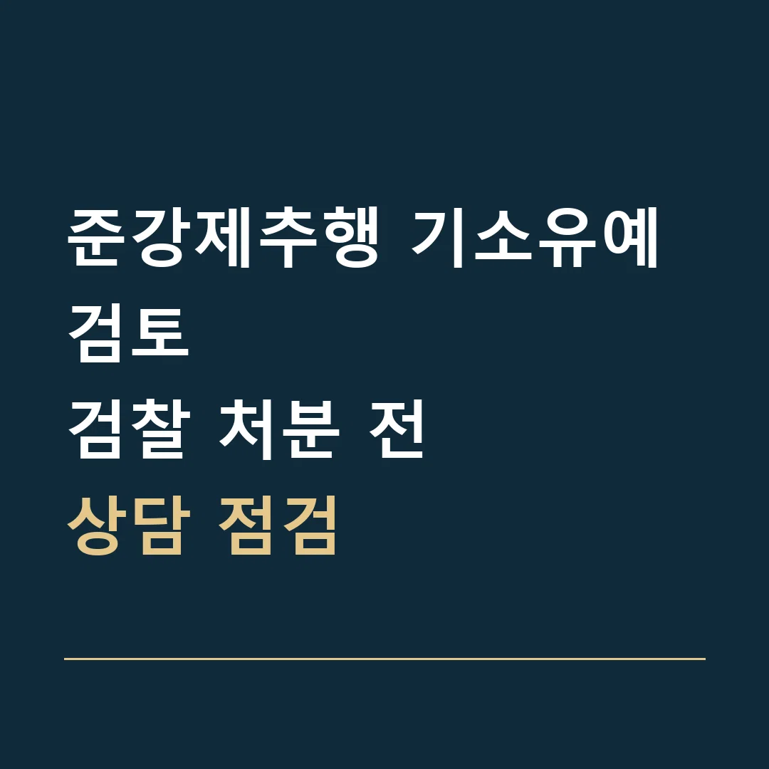 준강제추행 기소유예 검토 · 검찰 처분 전
상담 점검