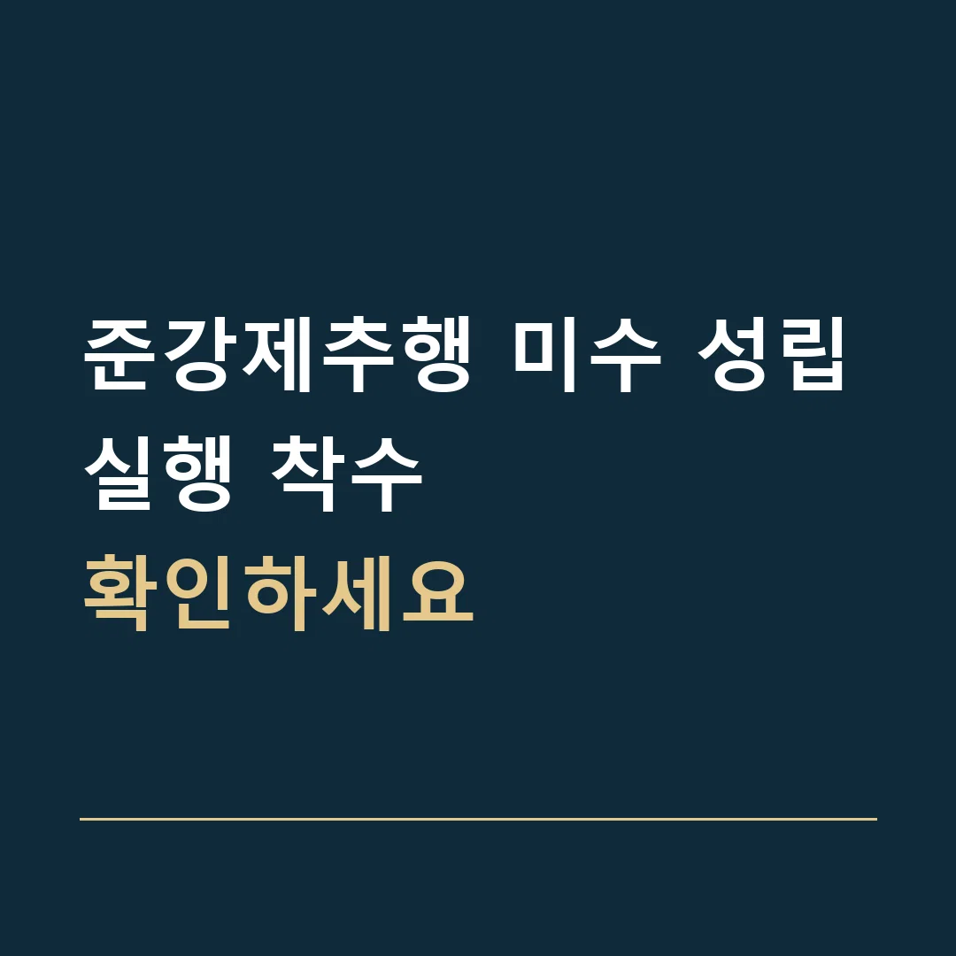 준강제추행 미수 성립 · 실행 착수
확인하세요