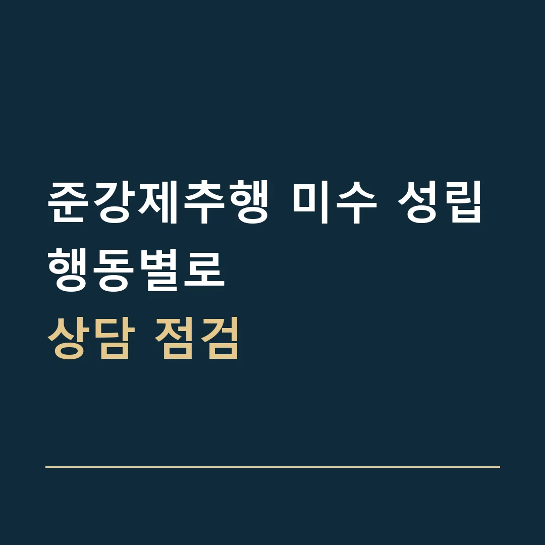 준강제추행 미수 성립 · 행동별로
상담 점검