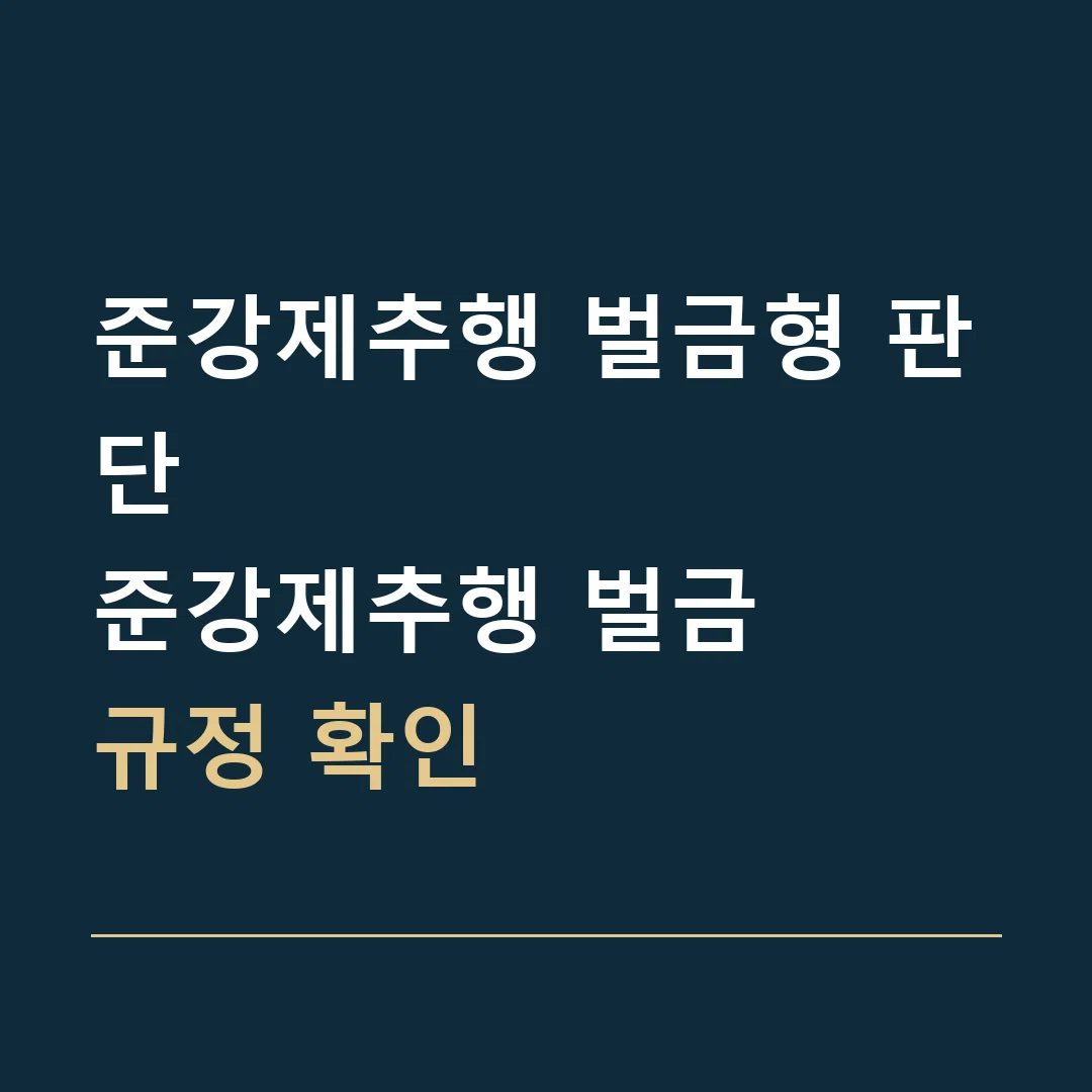 준강제추행 벌금형 판단 · 준강제추행 벌금
규정 확인