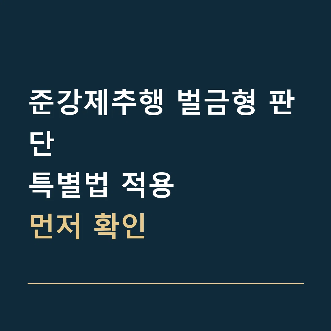 준강제추행 벌금형 판단 · 특별법 적용
먼저 확인