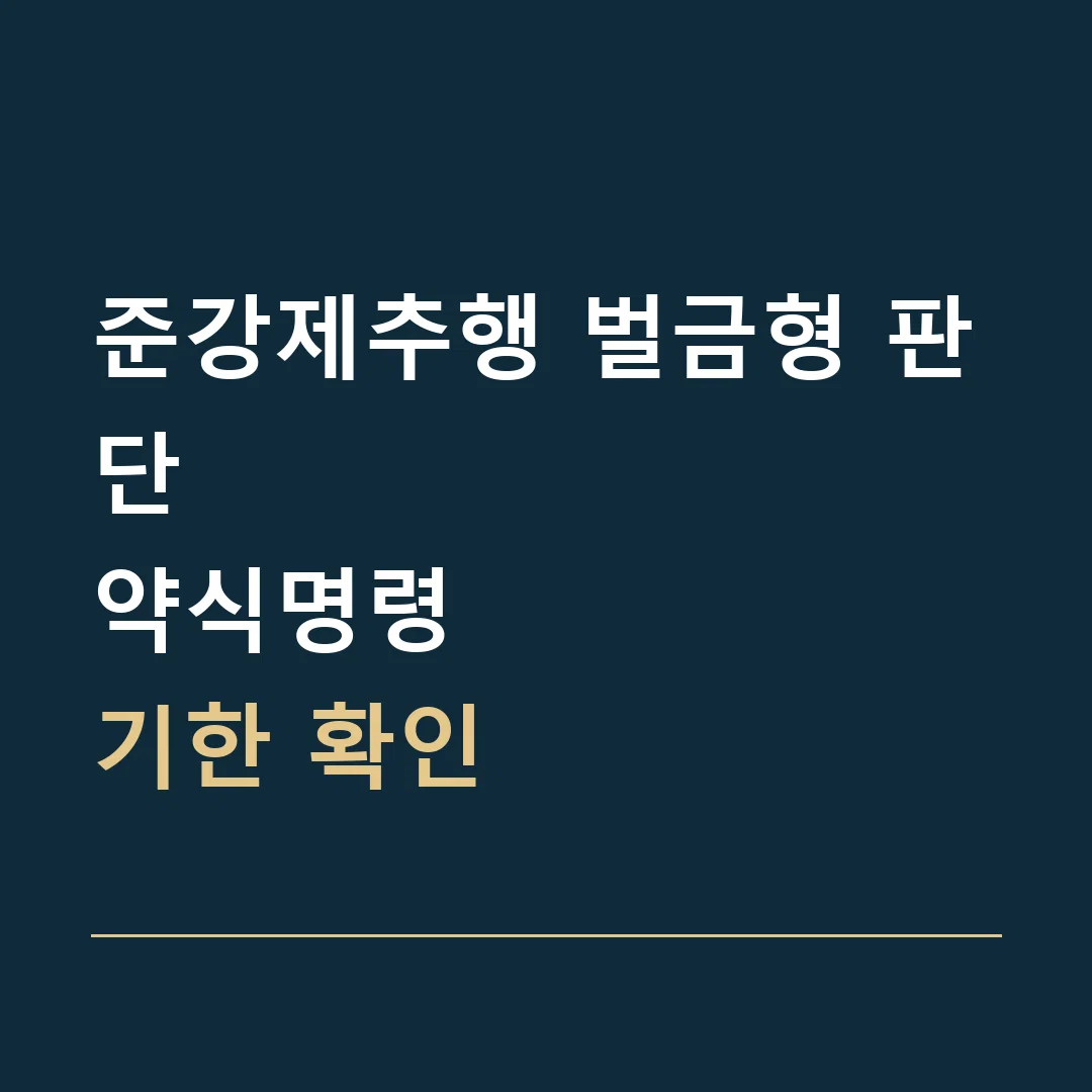 준강제추행 벌금형 판단 · 약식명령
기한 확인