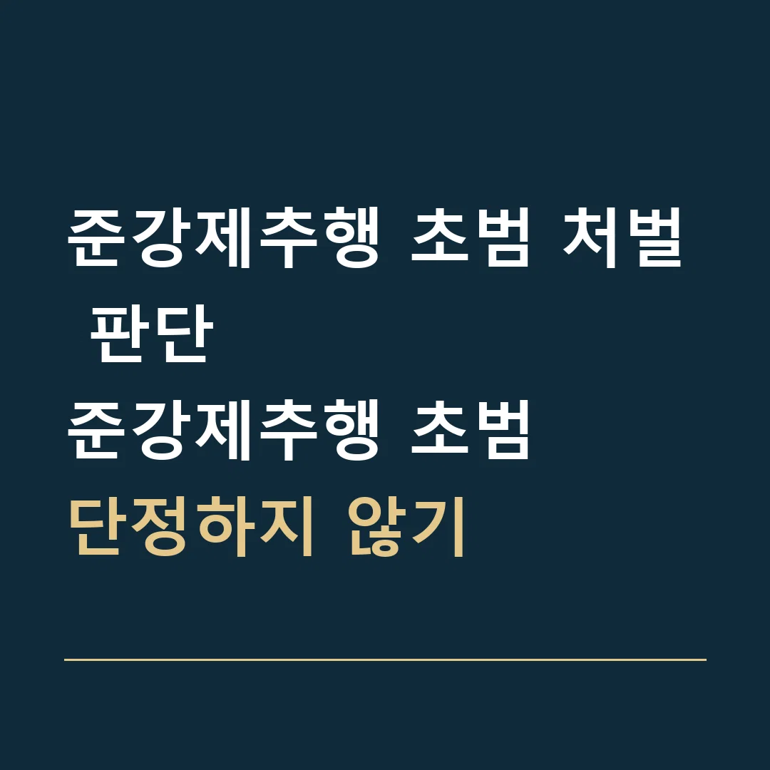 준강제추행 초범 처벌 판단 · 준강제추행 초범
단정하지 않기
