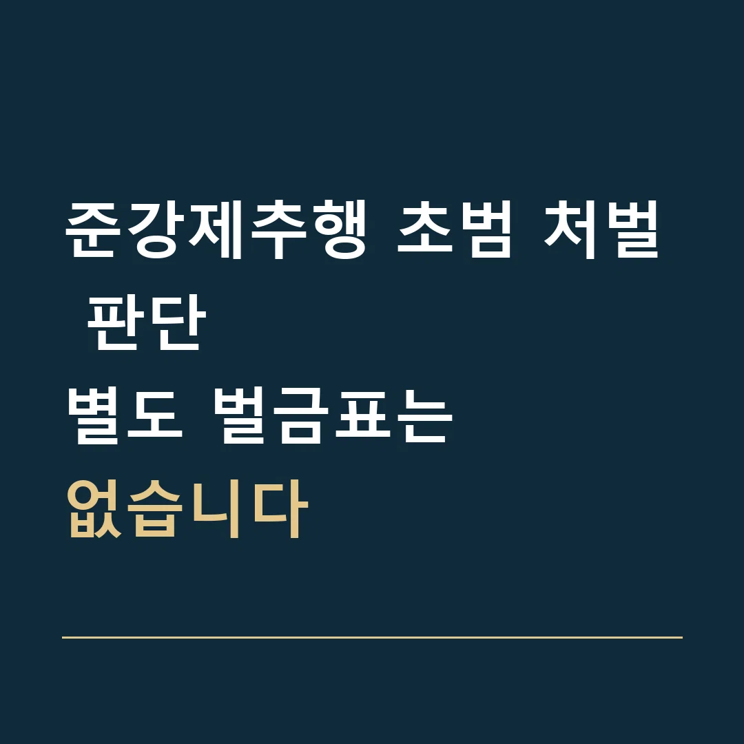 준강제추행 초범 처벌 판단 · 별도 벌금표는
없습니다