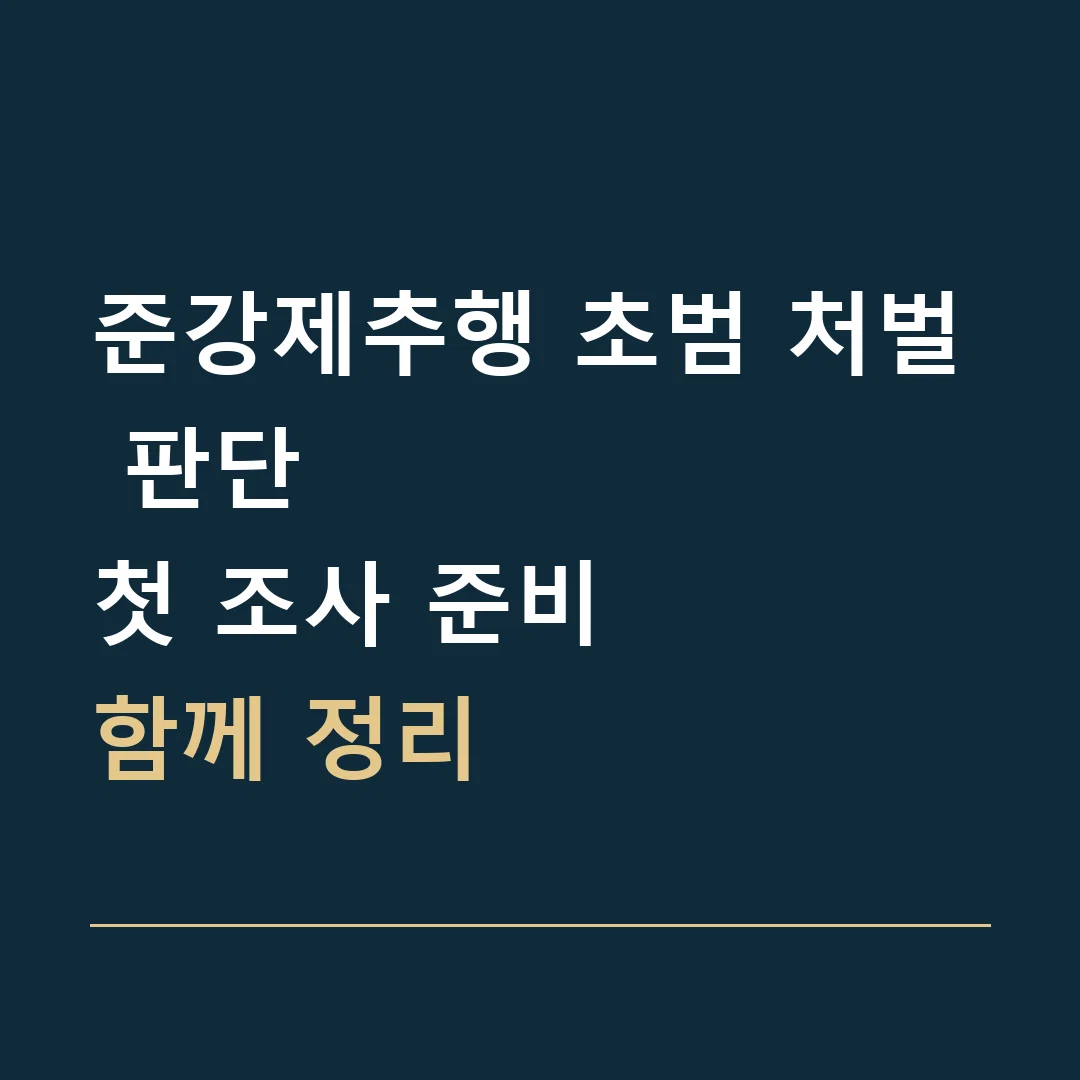 준강제추행 초범 처벌 판단 · 첫 조사 준비
함께 정리