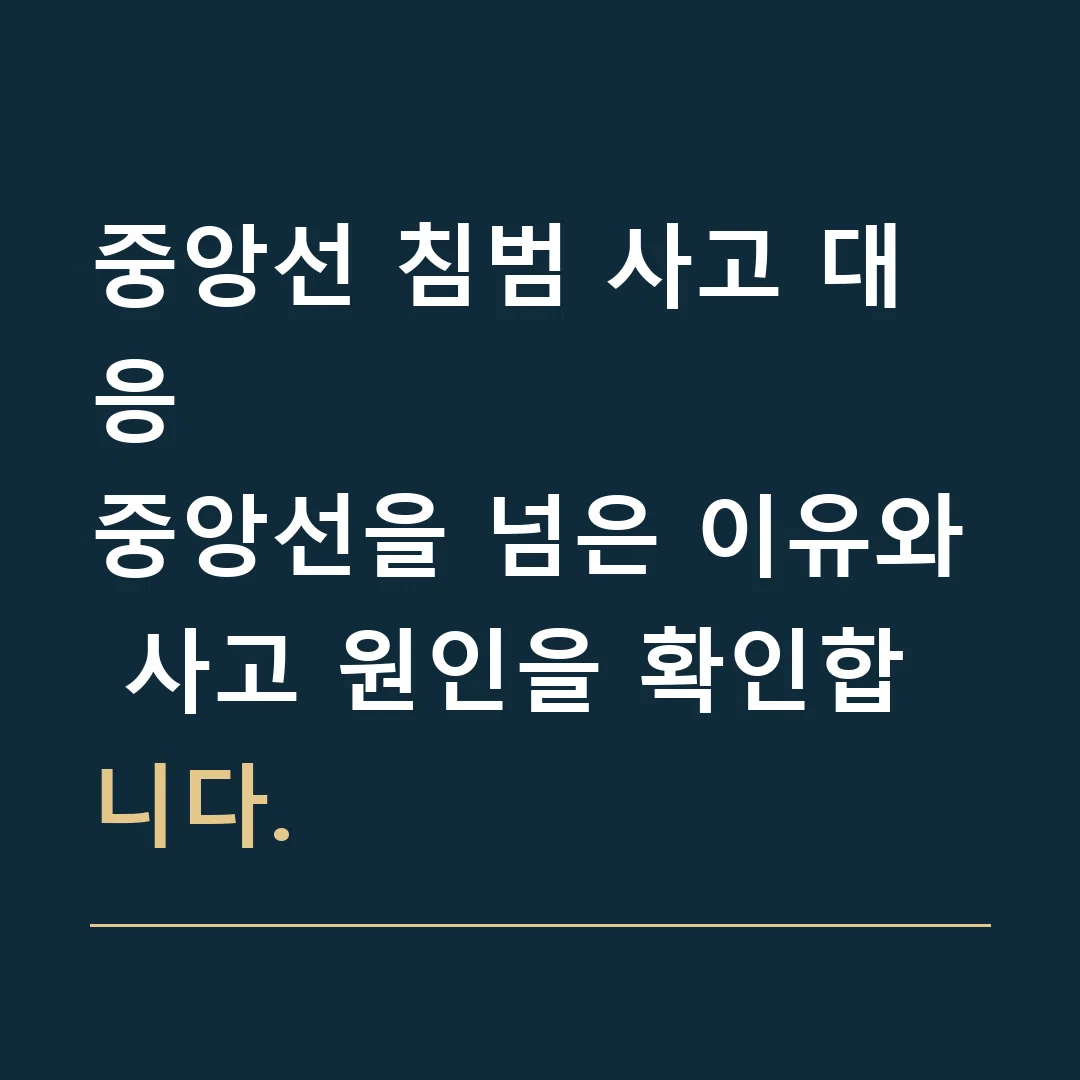 중앙선 침범 사고 대응 · 중앙선을 넘은 이유와 사고 원인을 확인합니다.