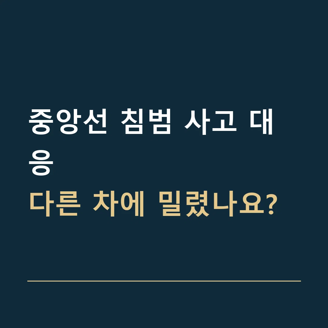 중앙선 침범 사고 대응 · 다른 차에 밀렸나요?
