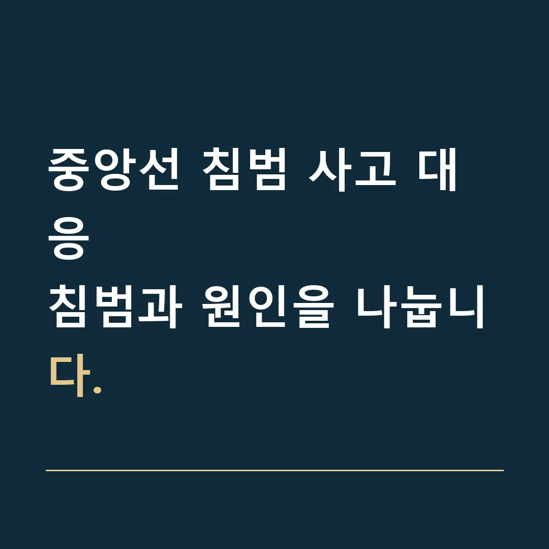 중앙선 침범 사고 대응 · 침범과 원인을 나눕니다.