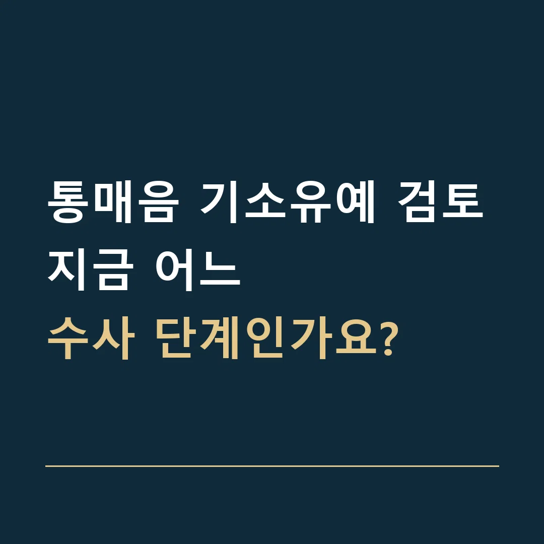 통매음 기소유예 검토 · 지금 어느
수사 단계인가요?