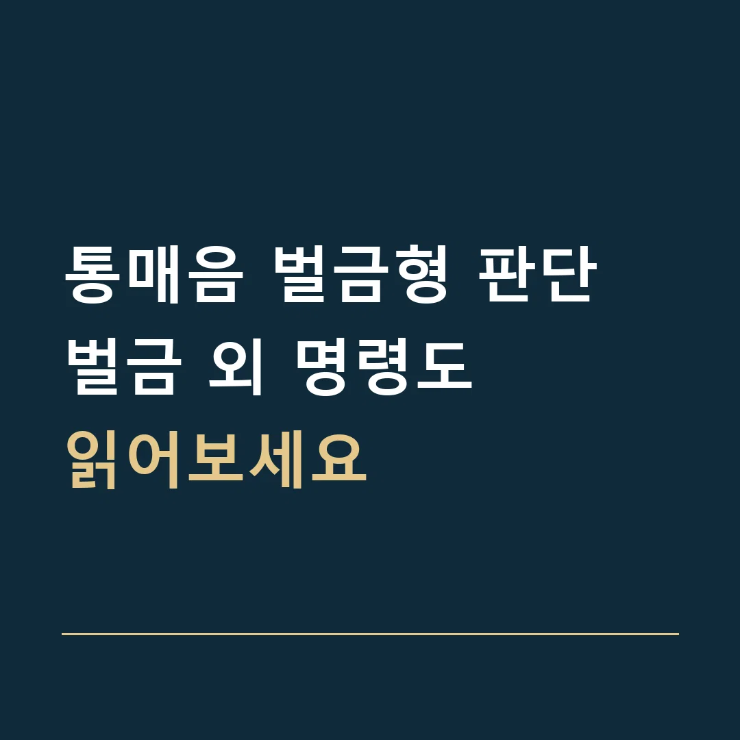 통매음 벌금형 판단 · 벌금 외 명령도
읽어보세요