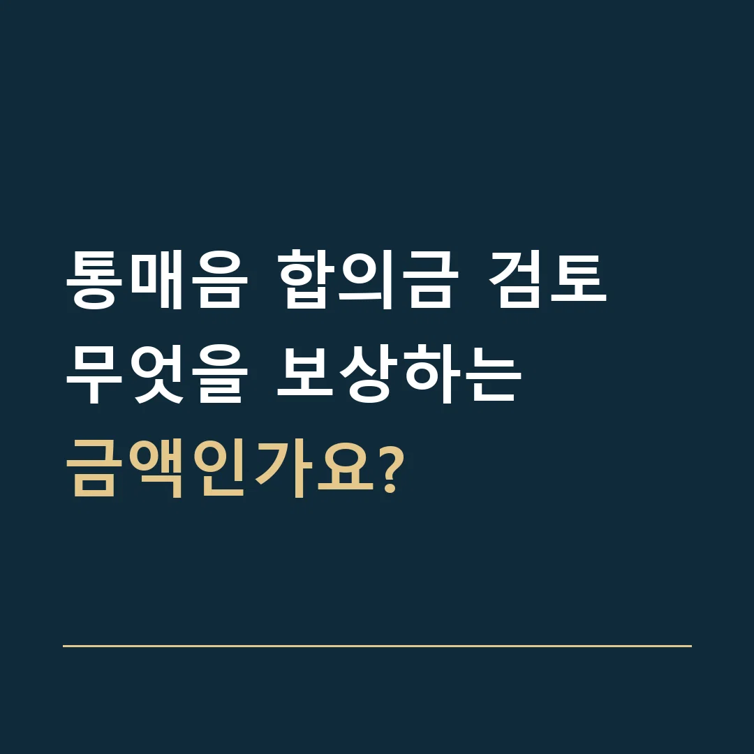 통매음 합의금 검토 · 무엇을 보상하는
금액인가요?
