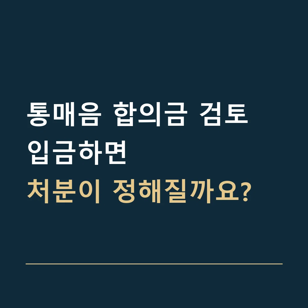 통매음 합의금 검토 · 입금하면
처분이 정해질까요?