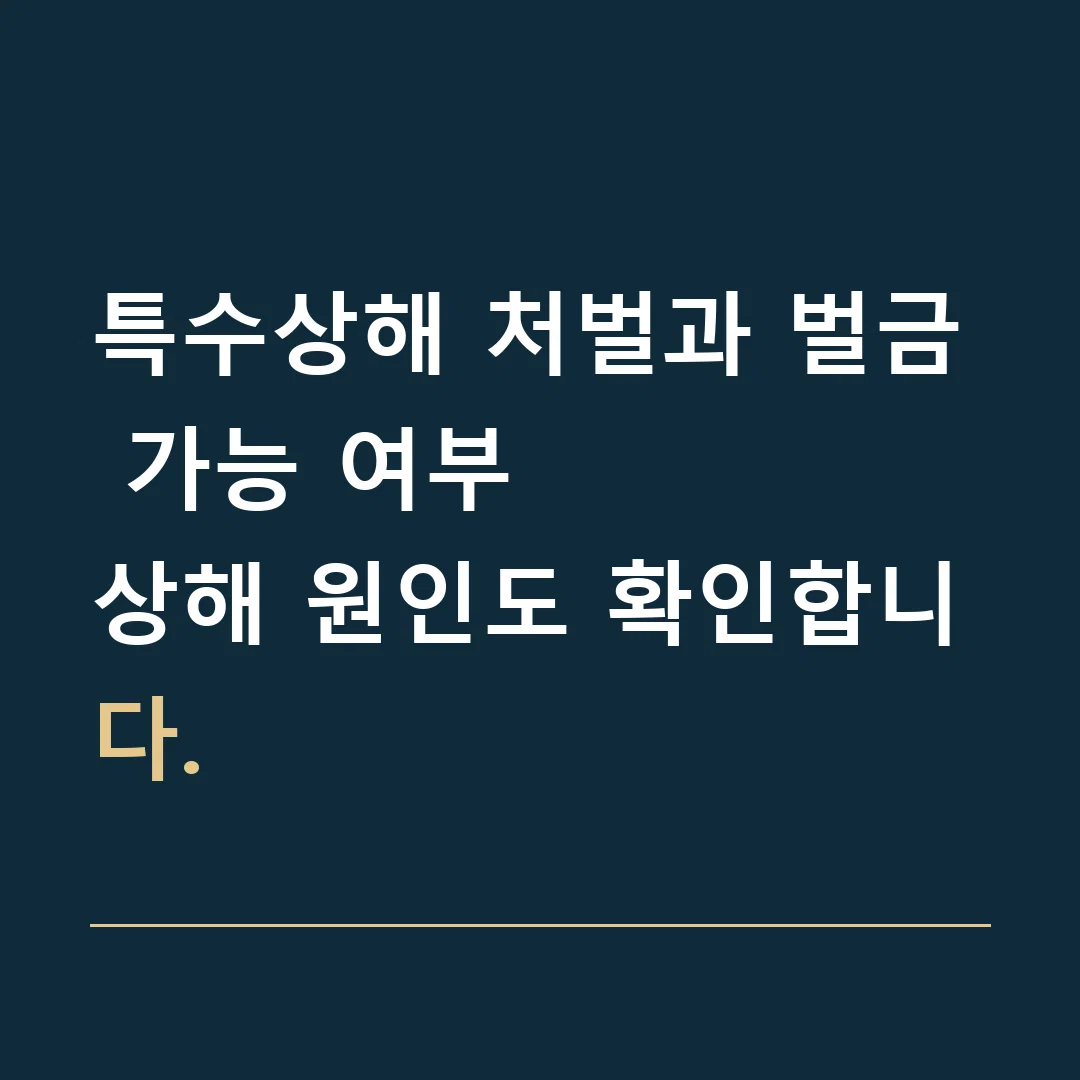 특수상해 처벌과 벌금 가능 여부 · 상해 원인도 확인합니다.
