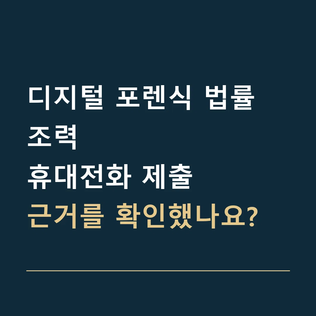 디지털 포렌식 법률 조력 · 휴대전화 제출
근거를 확인했나요?