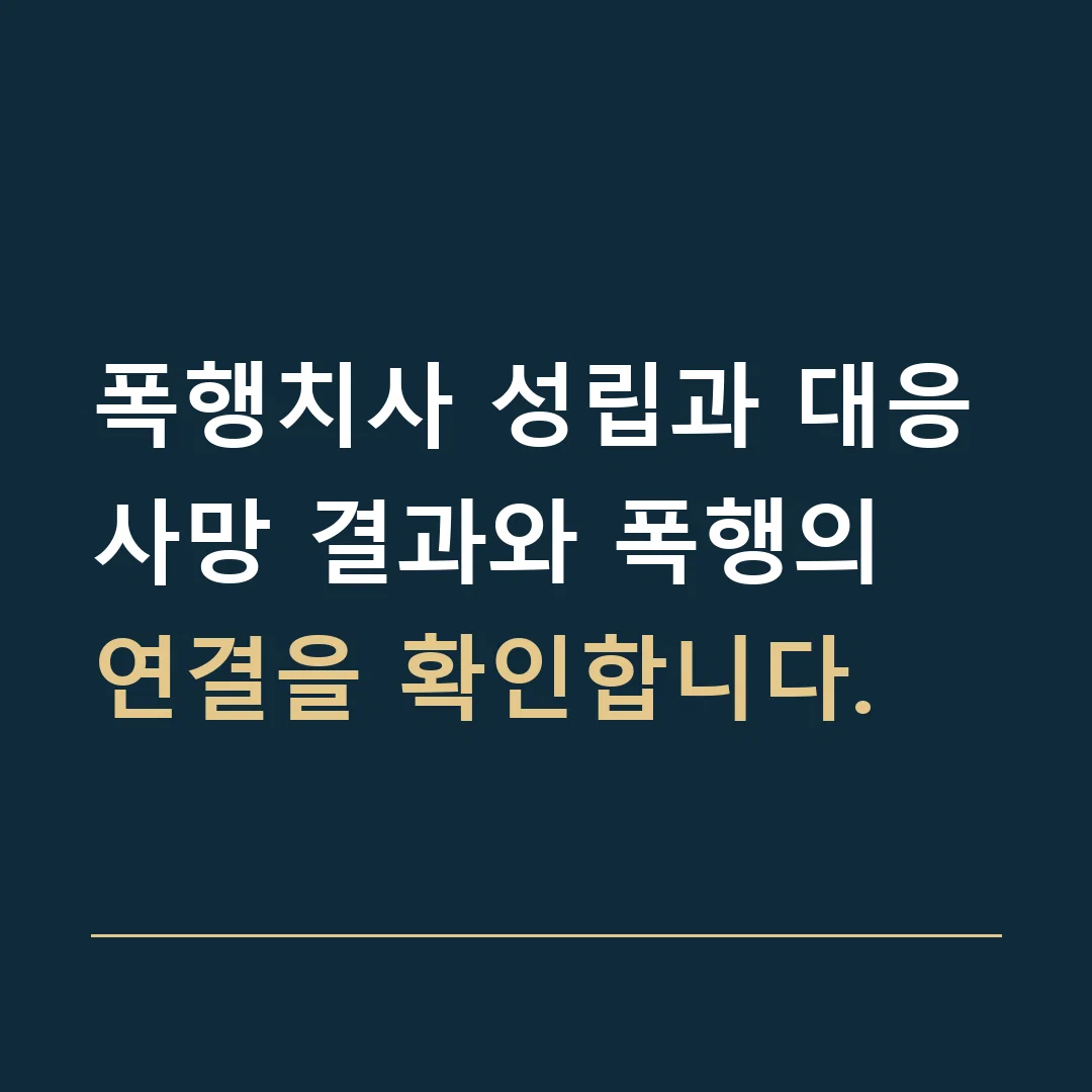 폭행치사 성립과 대응 · 사망 결과와 폭행의 연결을 확인합니다.