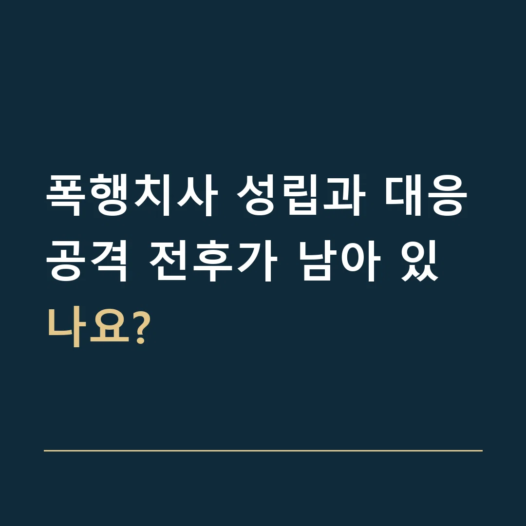 폭행치사 성립과 대응 · 공격 전후가 남아 있나요?