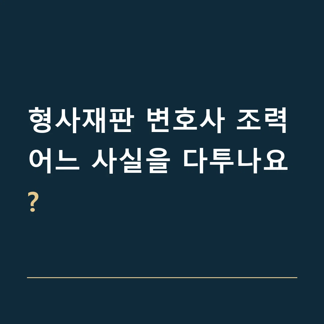 형사재판 변호사 조력 · 어느 사실을 다투나요?