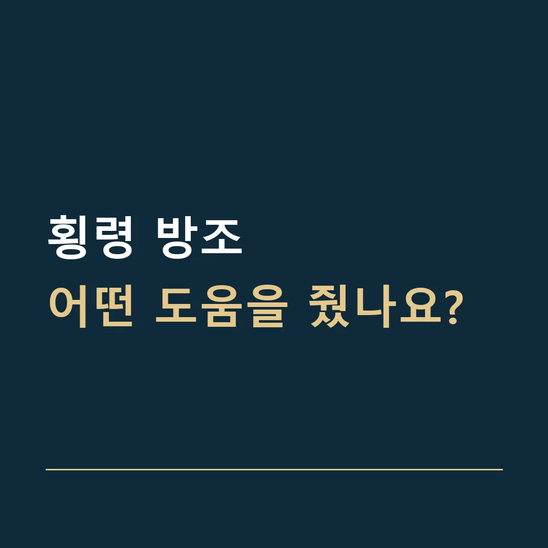 횡령 방조 · 어떤 도움을 줬나요?